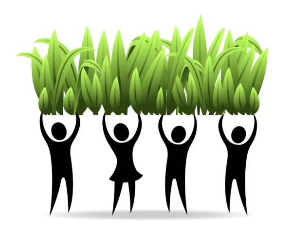Grassroots